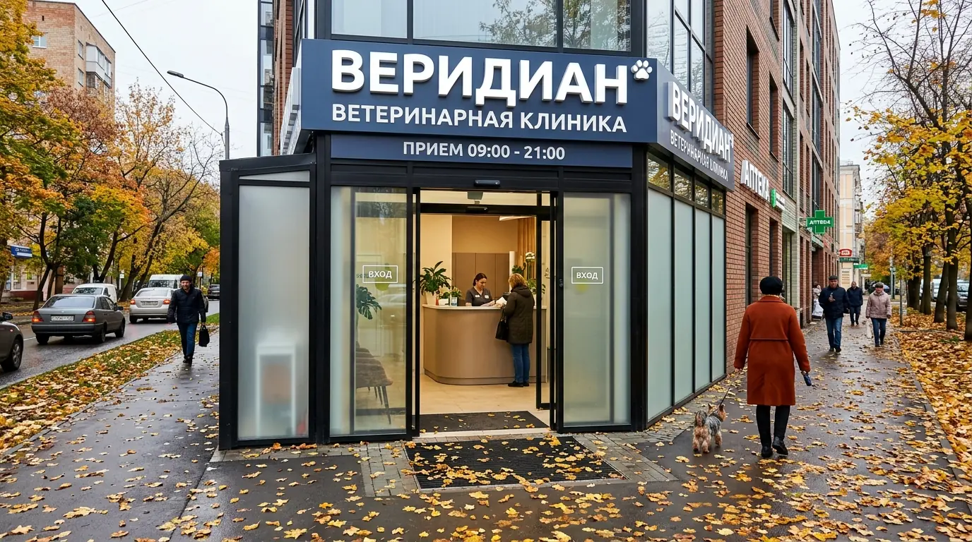 Автоматические, телескопические или карусельные двери: что выбрать для входной группы: пример 7